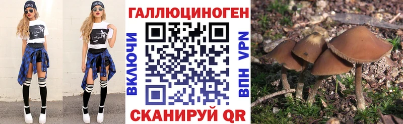 Псилоцибиновые грибы Psilocybine cubensis  купить наркотик  Волоколамск 